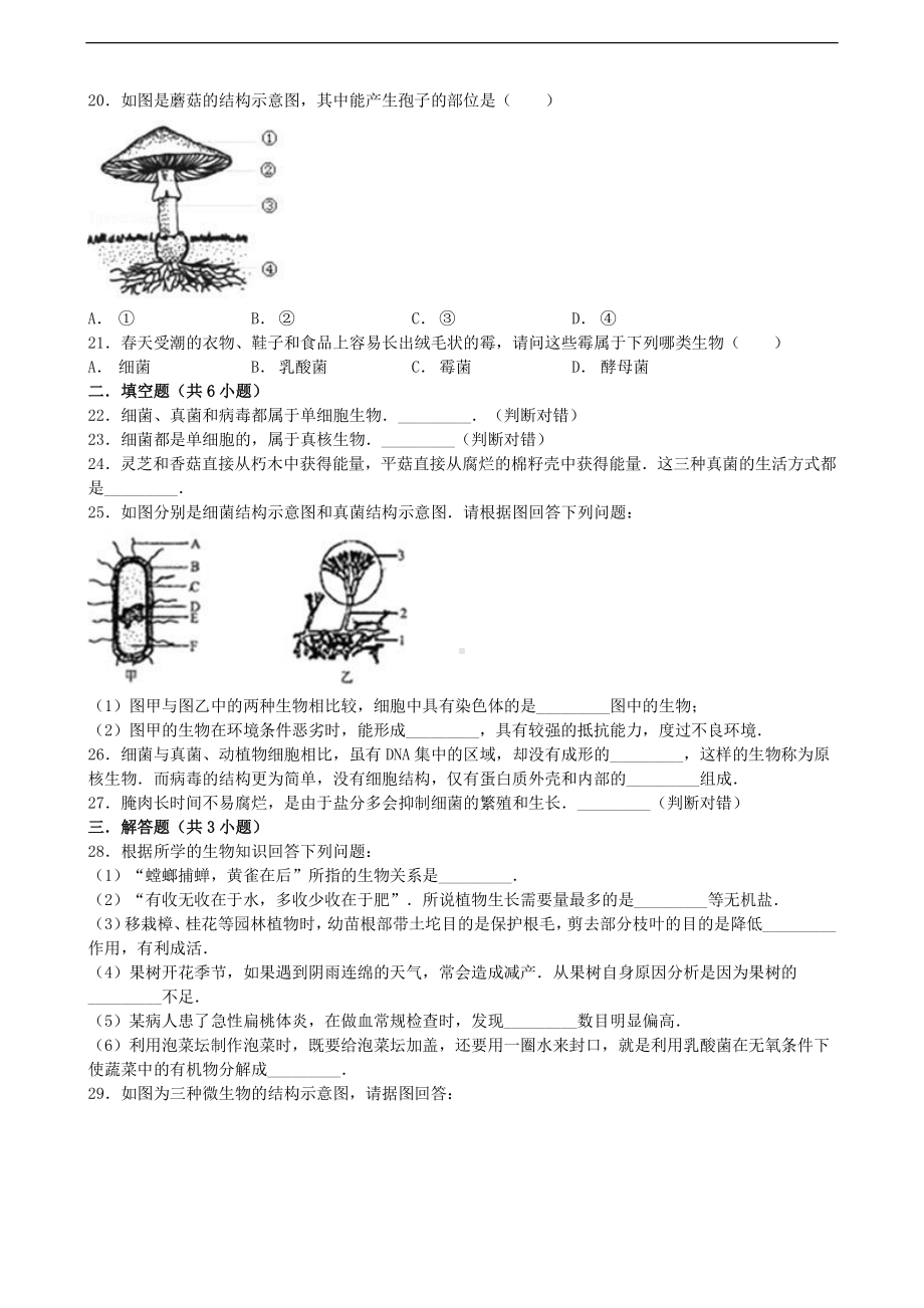 （八上生物人教版单元检测卷）第五单元第四章 细菌和真菌.doc_第3页