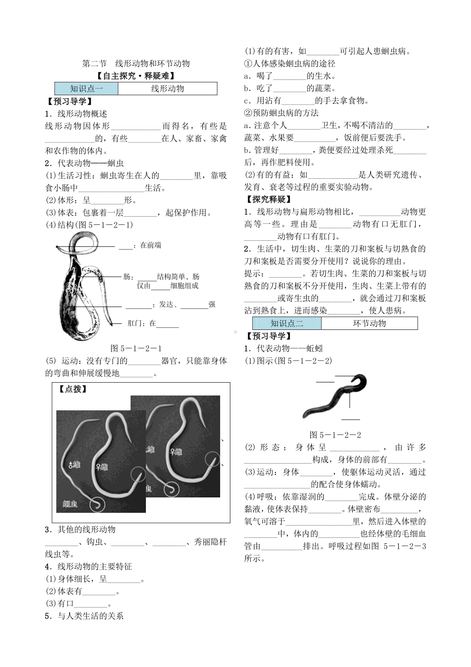 第二节 线形动物和环节动物 导学案.docx_第2页