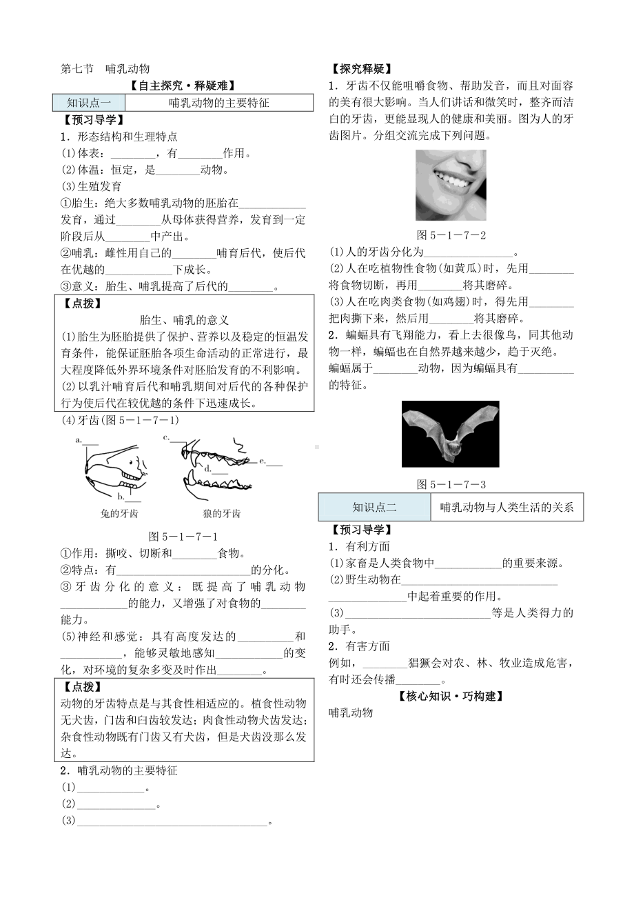 第七节 哺乳动物 导学案.docx_第2页