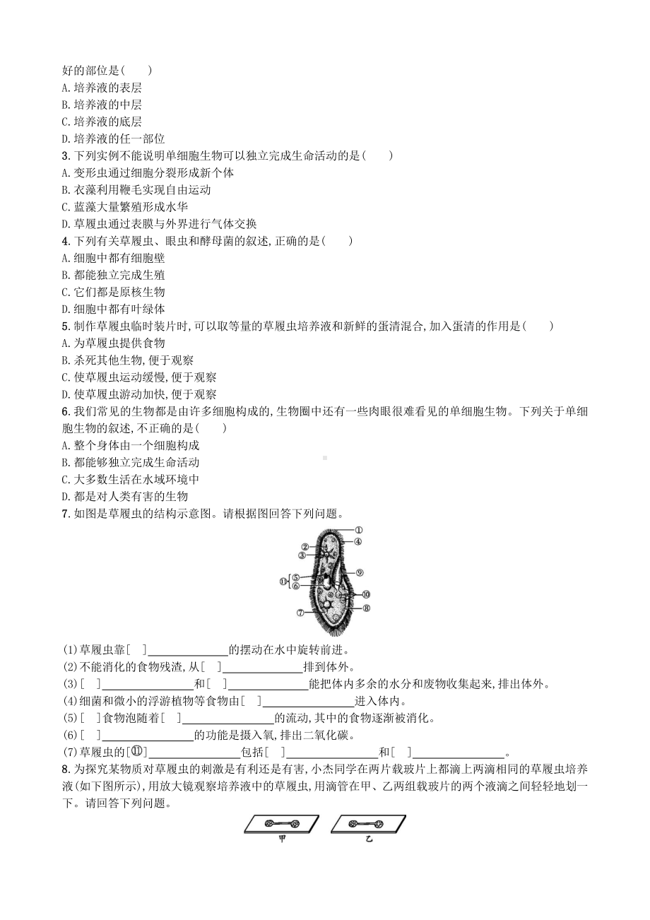 （七上生物人教版课时检测卷）2.2.4 单细胞生物.doc_第2页