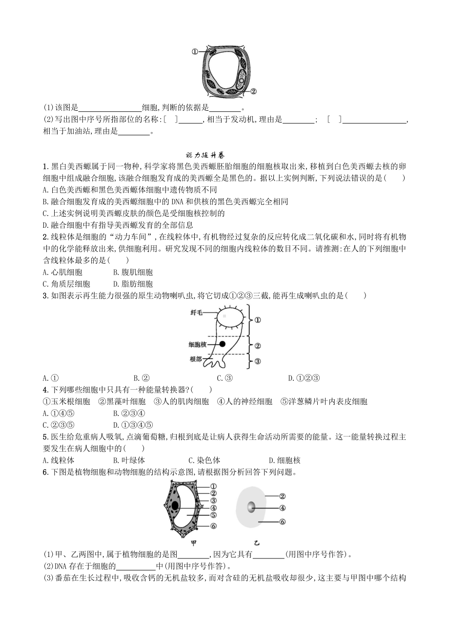 （七上生物人教版课时检测卷）2.1.4 细胞的生活.doc_第2页