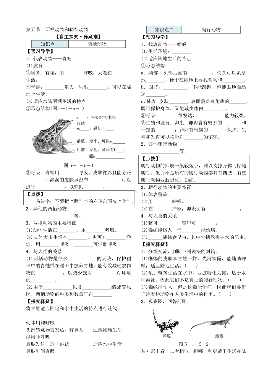 第五节 两栖动物和爬行动物 导学案.docx_第2页