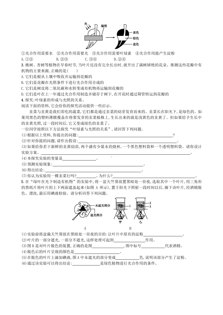 （七上生物人教版课时检测卷）3.4 绿色植物是生物圈中有机物的制造者.doc_第2页