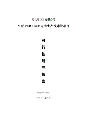 N型PERT双面电池生产建设项目可行性研究报告.doc