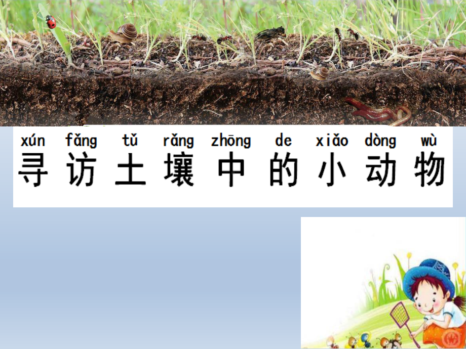 小学科学苏教版二年级下册第9课《寻找土壤里的小动物》课件2.ppt_第3页