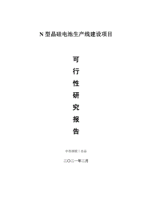 N型晶硅电池生产建设项目可行性研究报告.doc