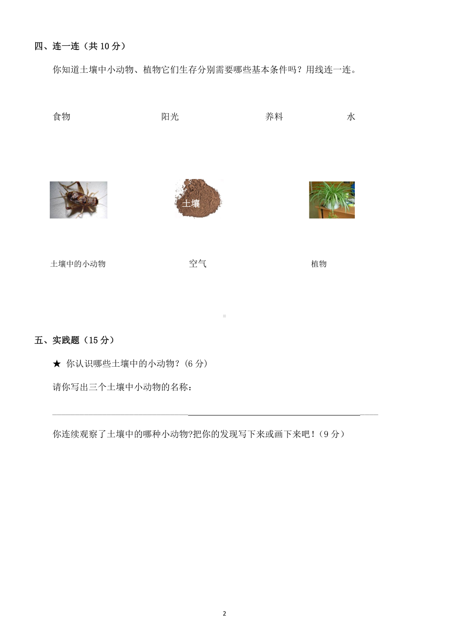 小学科学苏教版二年级下册第三单元《土壤与生命》检测题.doc_第2页