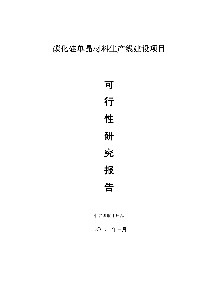 碳化硅单晶材料生产建设项目可行性研究报告.doc_第1页