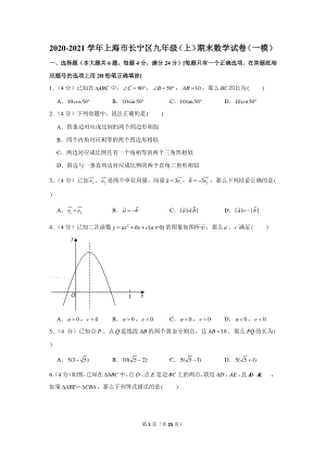 2020-2021学年上海市长宁区九年级（上）期末数学试卷（一模）.docx