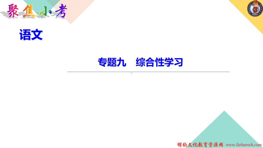 专题九　综合性学习.ppt_第1页