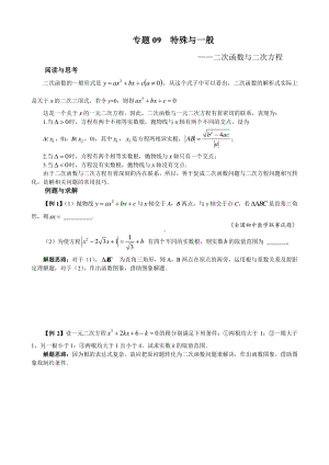 （2021版 九年级数学培优讲义）专题09特殊与一般.doc