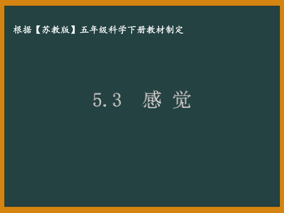 泰州苏教版五年级科学下册第五单元课件5.3感觉.pptx_第1页