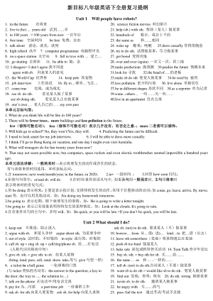 人教版go for it 八年级下册英语复习提纲.doc