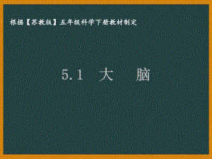 泰州苏教版五年级科学下册第五单元课件5.1大脑.pptx