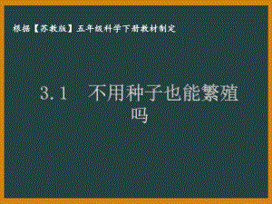 泰州苏教版五年级科学下册第三单元课件3.1不用种子也能繁殖吗.pptx