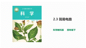 教科版科学四年级下册2.3《简易电路》课件（31张PPT）.pptx