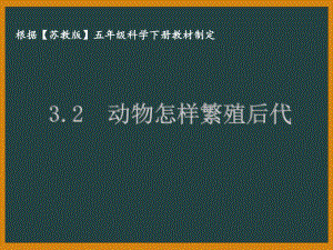 泰州苏教版五年级科学下册第三单元课件3.2动物怎样繁殖后代.pptx