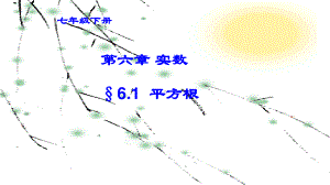 2020-2021学年人教版数学七年级下册6.1平方根-课件(14).pptx