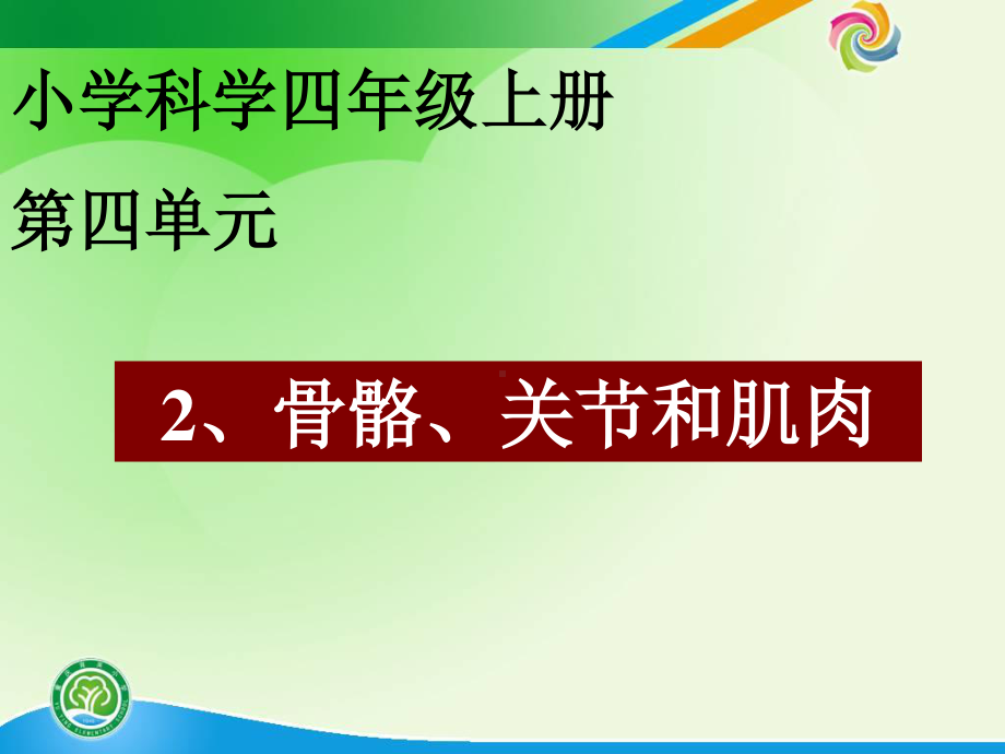 教科版四年级科学上册《骨骼、关节和肌肉》精品课件.pptx_第1页