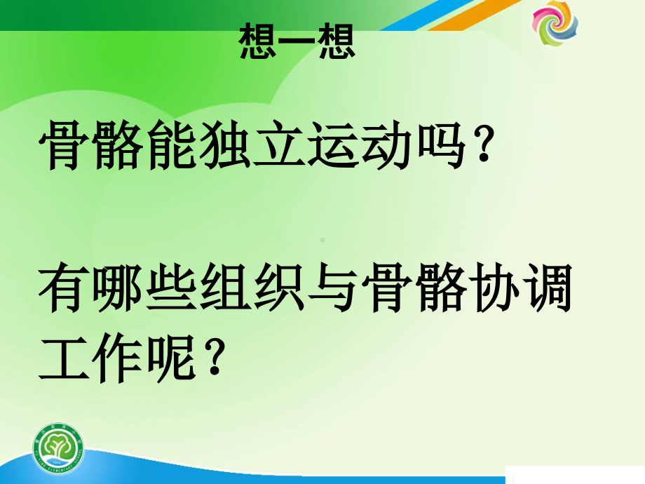 教科版四年级科学上册《骨骼、关节和肌肉》精品课件.pptx_第3页