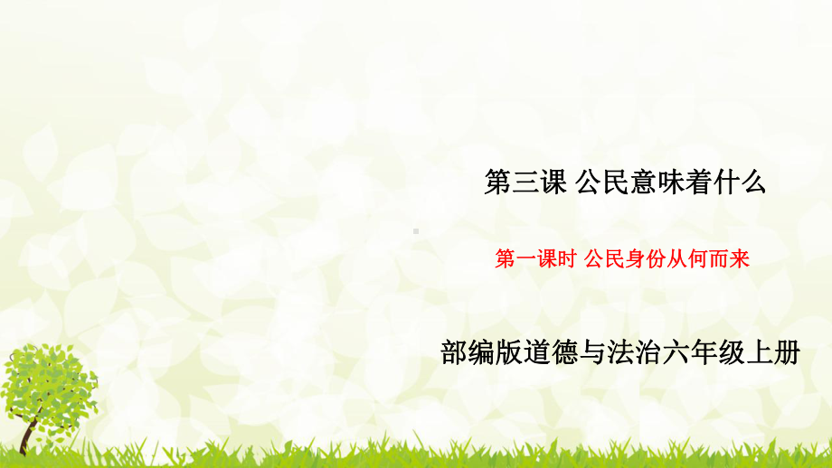 部编版道德与法治六年级上册3公民意味着什么含2个课时精品课件pptx