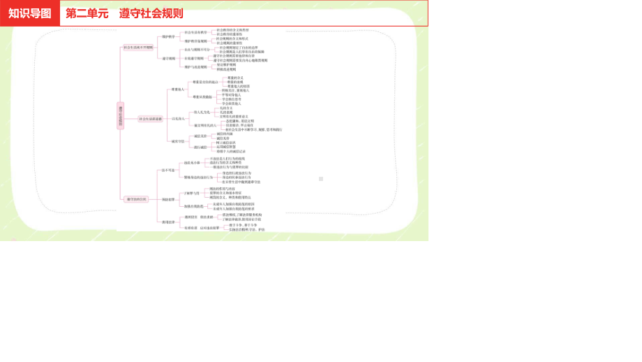 2021安徽省中考道德与法治一轮复习八年级上第二单元《遵守社会规则》课件.pptx_第2页