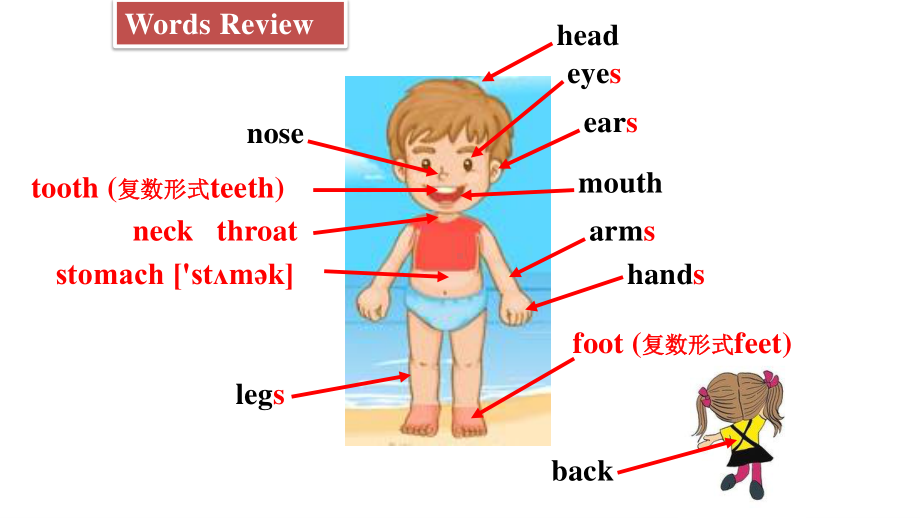 人教版八年级下册英语Unit 1 What's the matter Section A 1a2d ppt课件.pptx_第2页