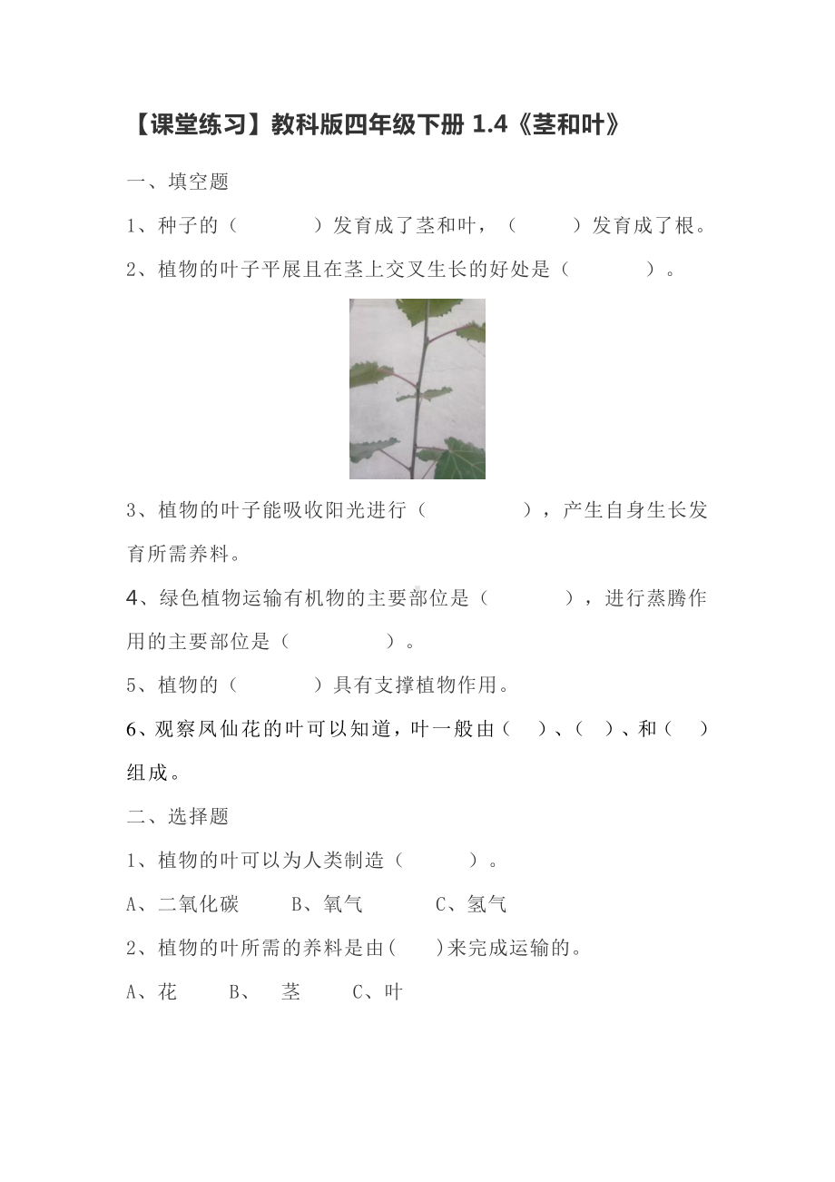 2021新教科版四年级下册科学1.4《茎和叶》（课堂练习）（含答案）.doc_第1页