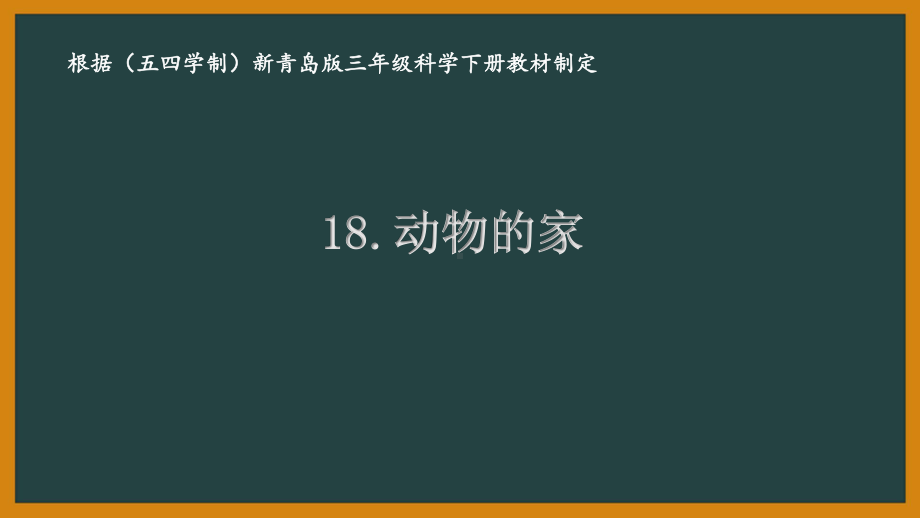 五四制青岛版三年级科学下册18.《动物的家》课件.pptx_第1页