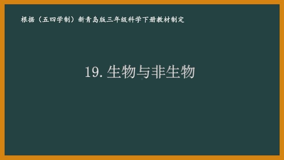 五四制青岛版三年级科学下册19.《生物与非生物》课件.pptx_第1页