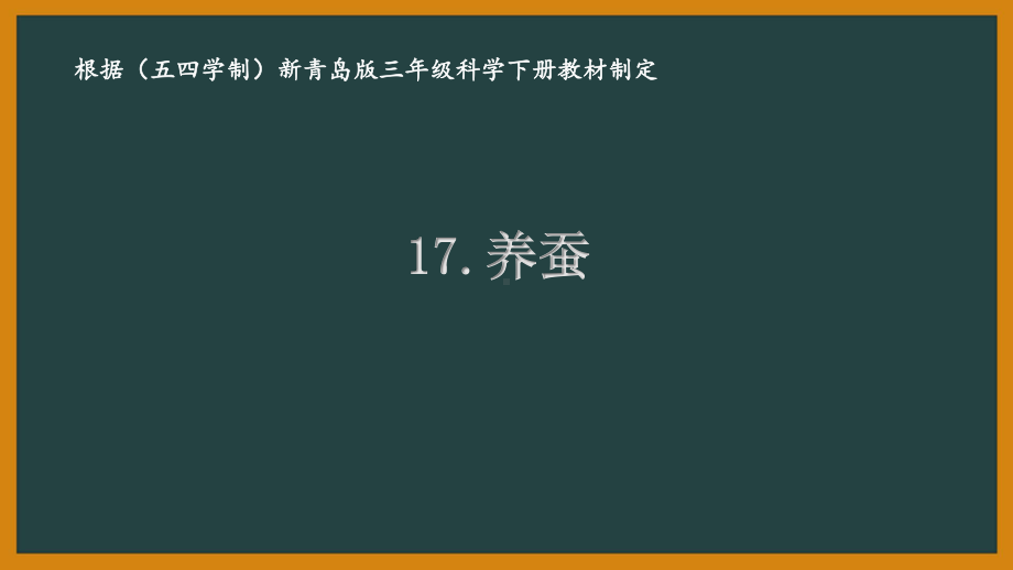 五四制青岛版三年级科学下册17.《养蚕》课件.pptx_第1页