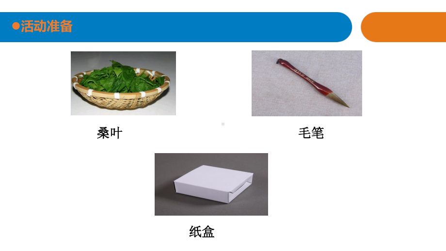 五四制青岛版三年级科学下册17.《养蚕》课件.pptx_第2页