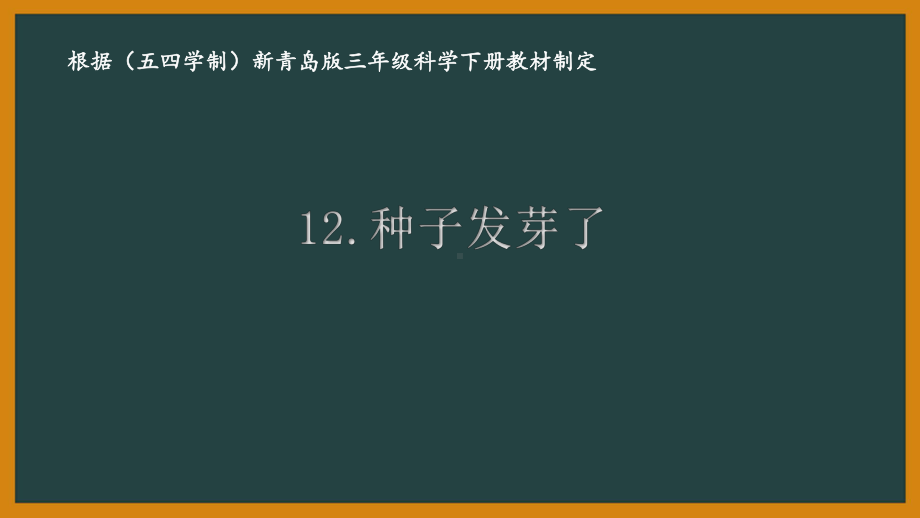 五四制青岛版三年级科学下册第四单元《植物的生长》全部课件（共5课时）.pptx_第1页