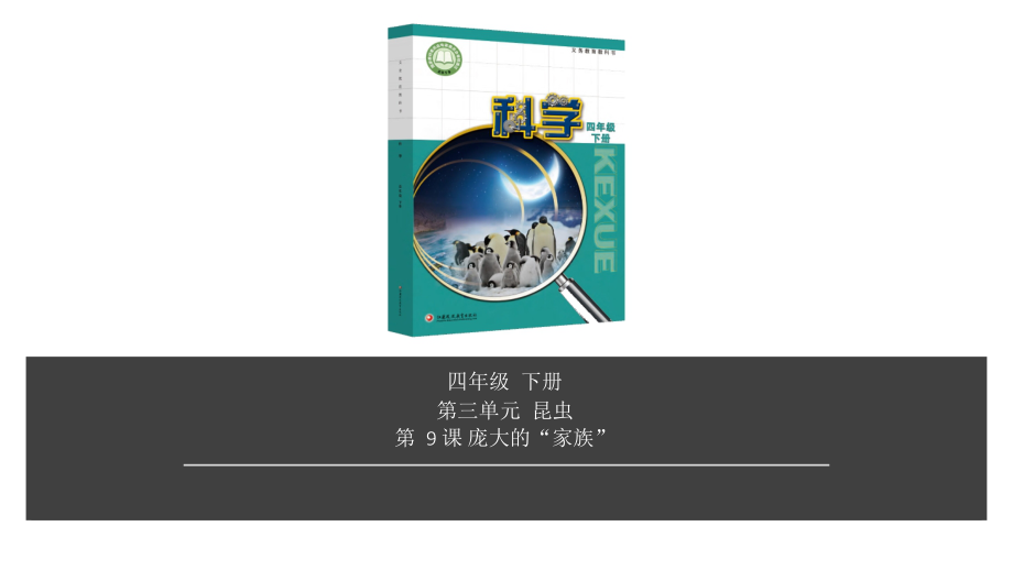 2020新苏教版四年级下册科学第3单元第9课-庞大的家族ppt课件（含视频）.zip