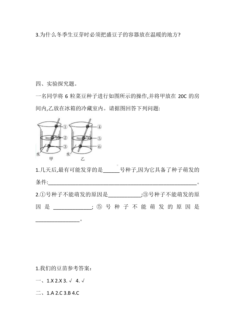 2020新大象版四年级下册科学1.1 我们的豆苗 同步练习题（含答案）.doc_第3页