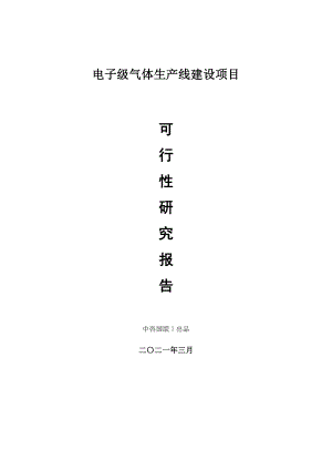 电子级气体生产建设项目可行性研究报告.doc