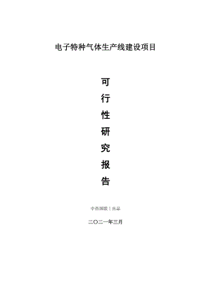 电子特种气体生产建设项目可行性研究报告.doc