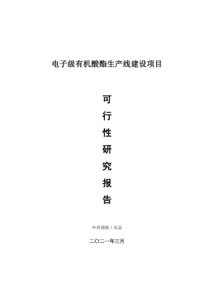 电子级有机酸酯生产建设项目可行性研究报告.doc