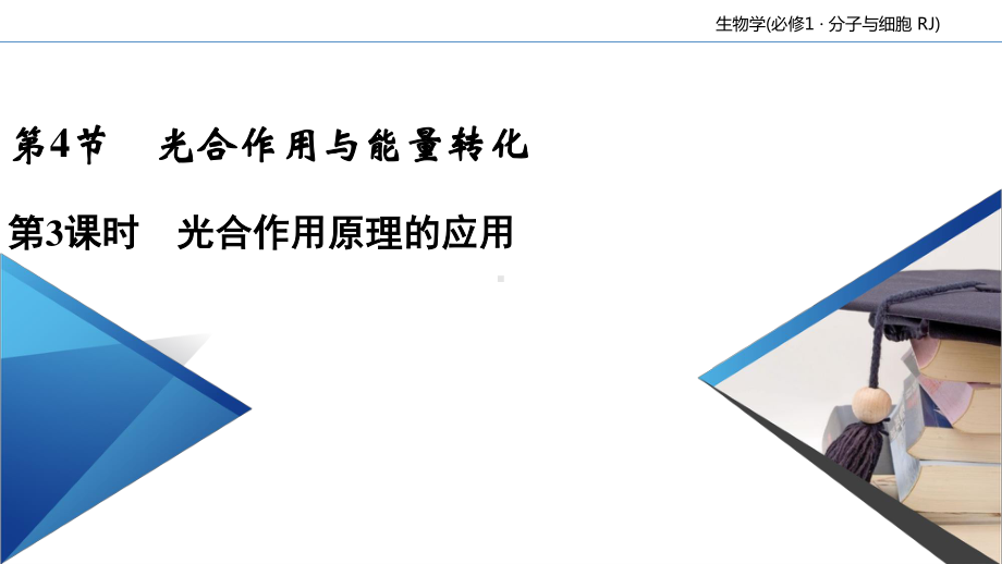 第5章 第4节 第3课时 光合作用与能量转化 课件-（新教材）2020年秋人教版（2019）高中生物必修一(共78张PPT).ppt_第2页