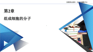 第2章 组成细胞的分子 本章整合 课件-（新教材）2020年秋人教版（2019）高中生物必修一(共26张PPT).ppt