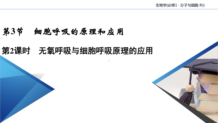 第5章 第3节 第2课时 细胞呼吸的原理和应用 课件-（新教材）2020年秋人教版（2019）高中生物必修一(共71张PPT).ppt_第2页