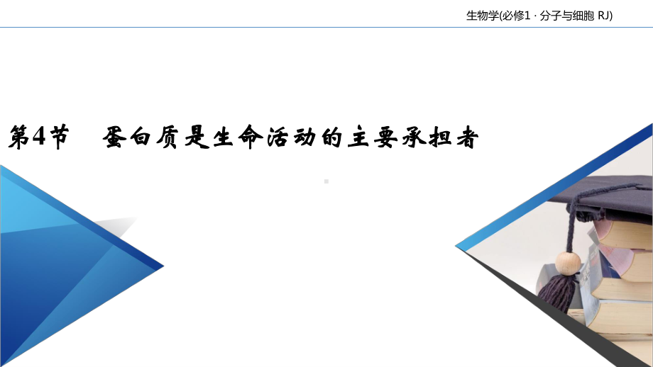 第2章 第4节 蛋白质是生命活动的主要承担者 课件-（新教材）2020年秋人教版（2019）高中生物必修一(共62张PPT).ppt_第2页