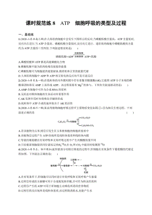 2022年（新教材）新高考生物一轮复习练习：课时规范练8　ATP　细胞呼吸的类型及过程.docx