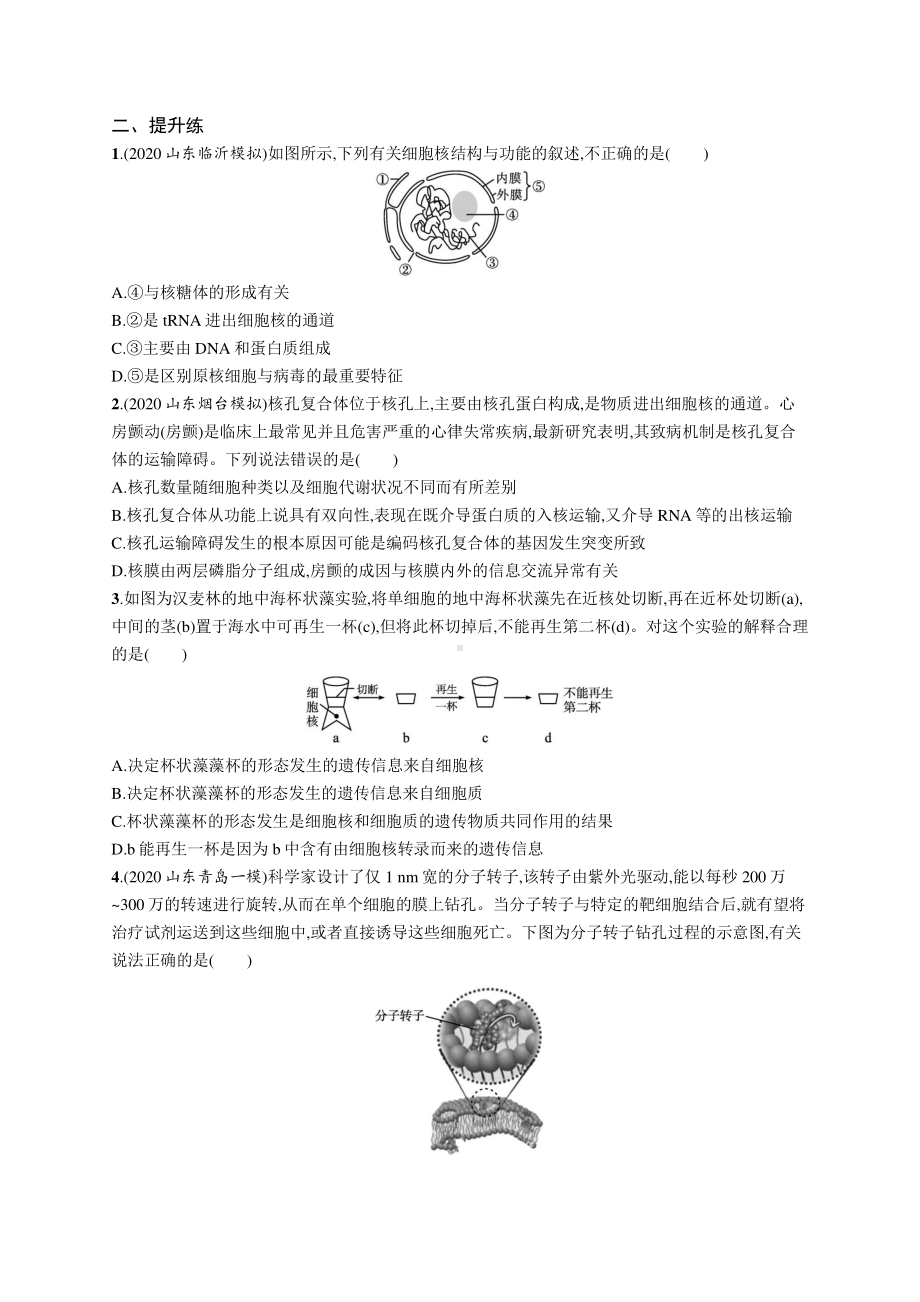 2022年（新教材）新高考生物一轮复习练习：课时规范练4　细胞膜和细胞核.docx_第3页