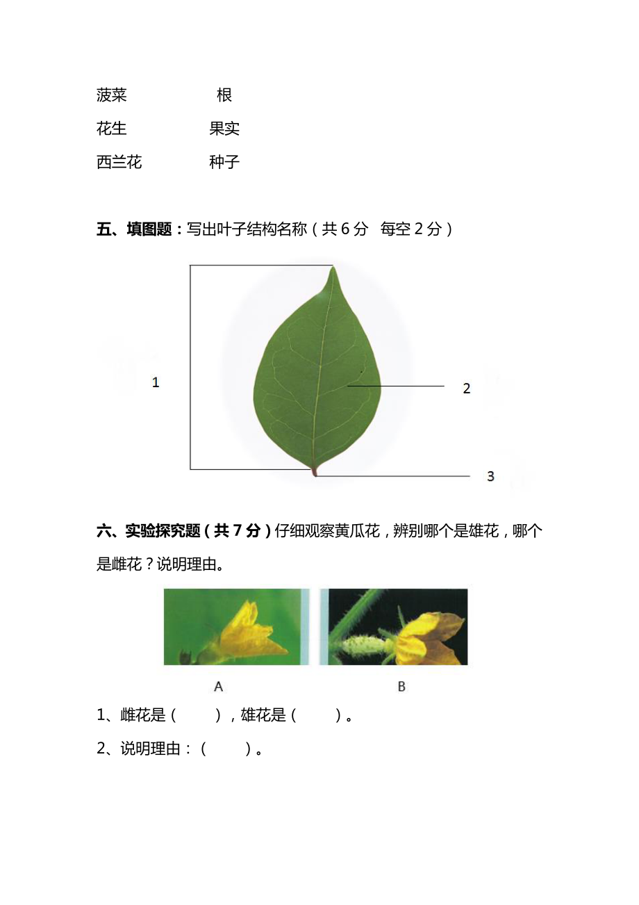 2021新苏教版三年级下册科学第一单元学习检测题(含答案).doc_第3页