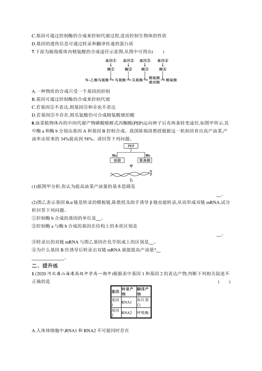 2022年（新教材）新高考生物一轮复习练习：课时规范练18　基因表达与性状的关系.docx_第2页