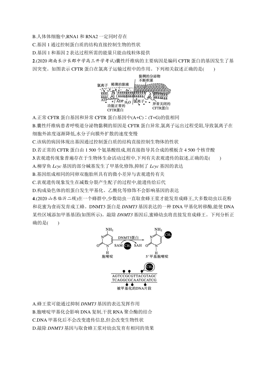 2022年（新教材）新高考生物一轮复习练习：课时规范练18　基因表达与性状的关系.docx_第3页