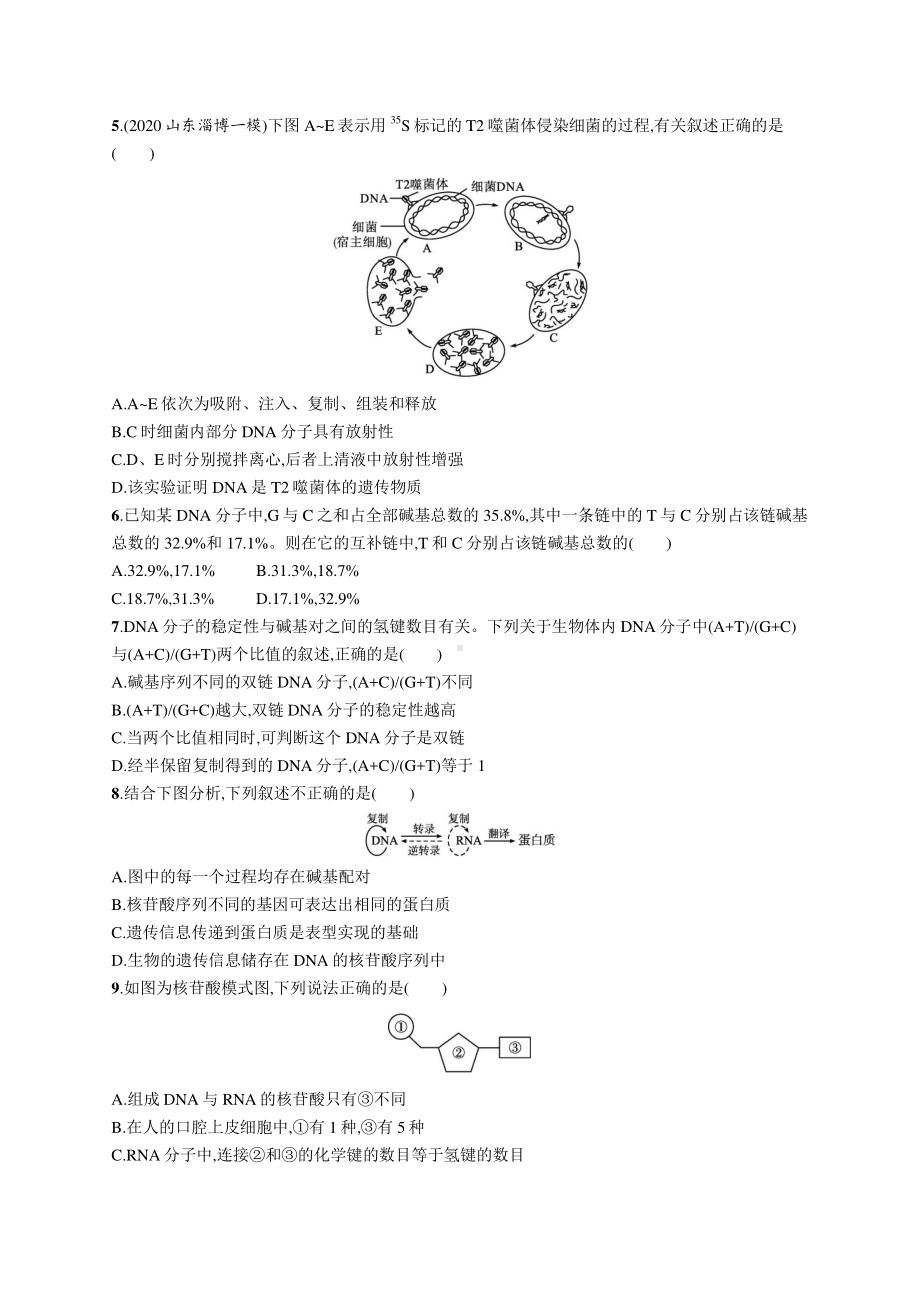 2022年（新教材）新高考生物一轮复习：单元质检卷五　遗传的分子基础.docx_第2页