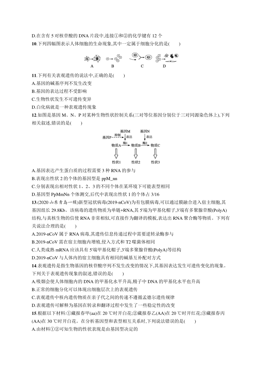 2022年（新教材）新高考生物一轮复习：单元质检卷五　遗传的分子基础.docx_第3页