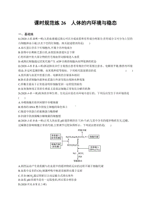 2022年（新教材）新高考生物一轮复习练习：课时规范练26　人体的内环境与稳态.docx